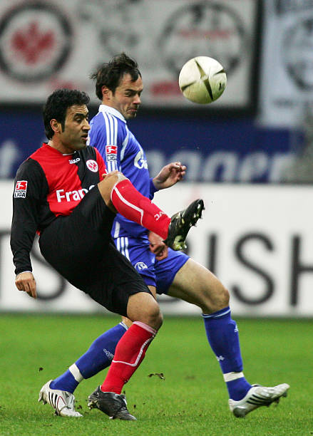 一位热爱它 一位热爱它