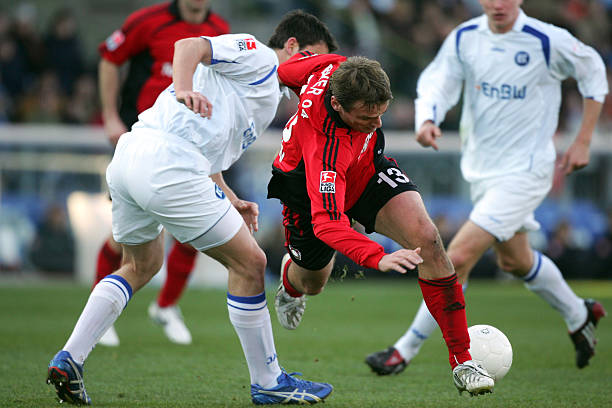 墨尔本凤凰 墨尔本凤凰